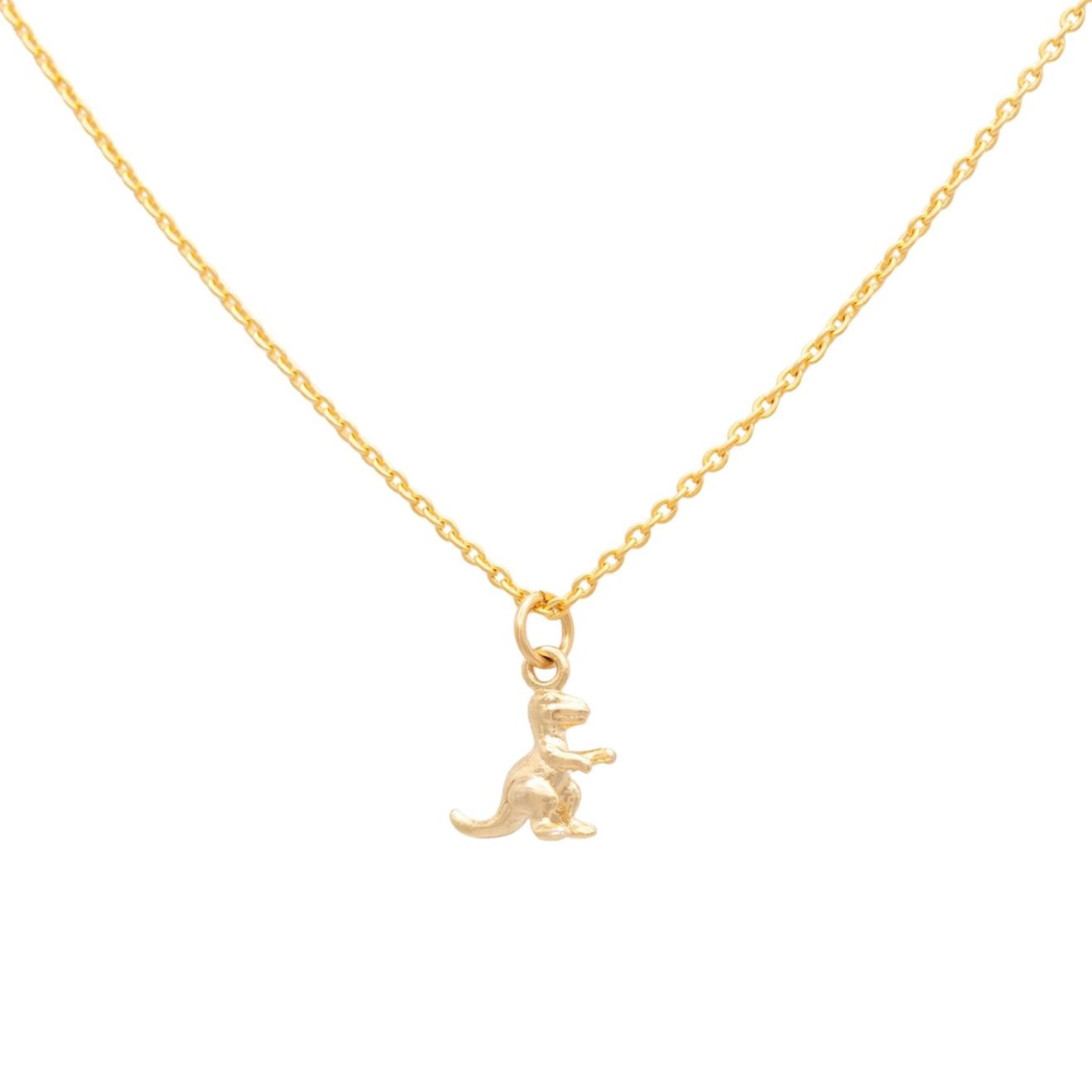 14k Gold or Sterling Silver T Rex Dinosaur Charm Pendant Necklace