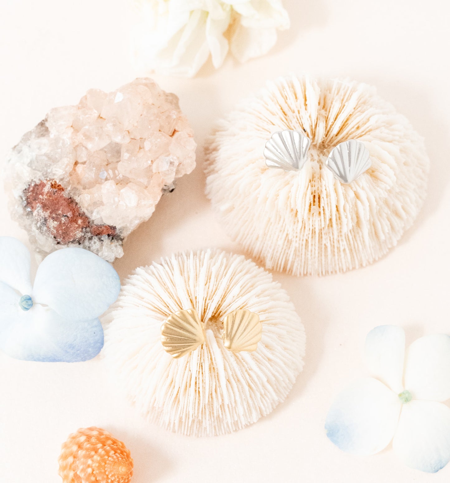 Scallop Shells Post EArring