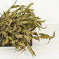 21" Sage Herb Leaves Bush