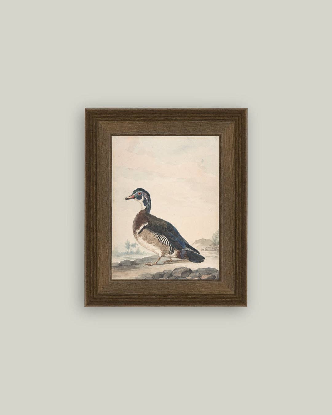 A Duck Framed Antique Art