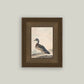 A Duck Framed Antique Art
