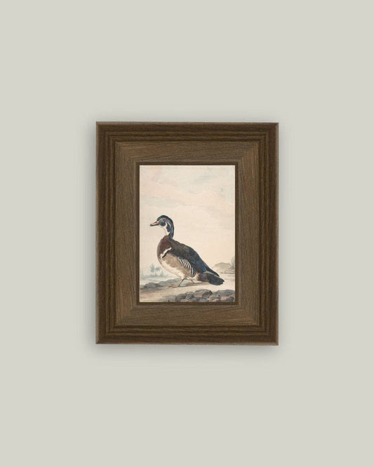 A Duck Framed Antique Art