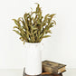 21" Sage Herb Leaves Bush