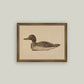 Wooden Duck Decoy Framed Antique Art