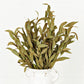 21" Sage Herb Leaves Bush