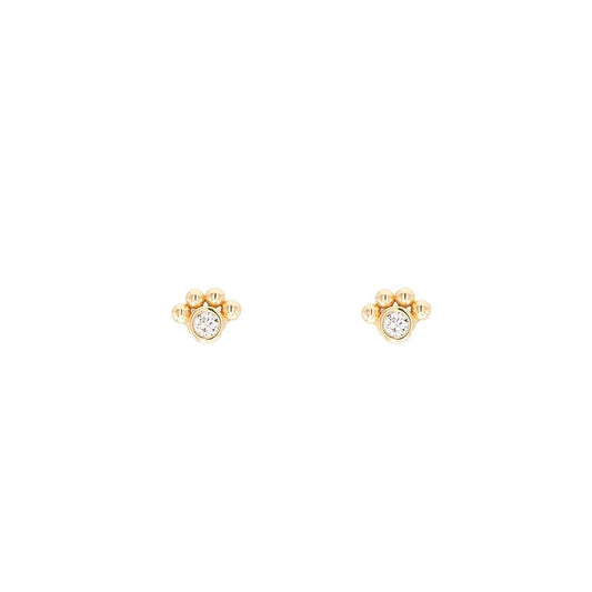 Paw Print Cubic Zirconia Gemstone Post Stud Earring Pet