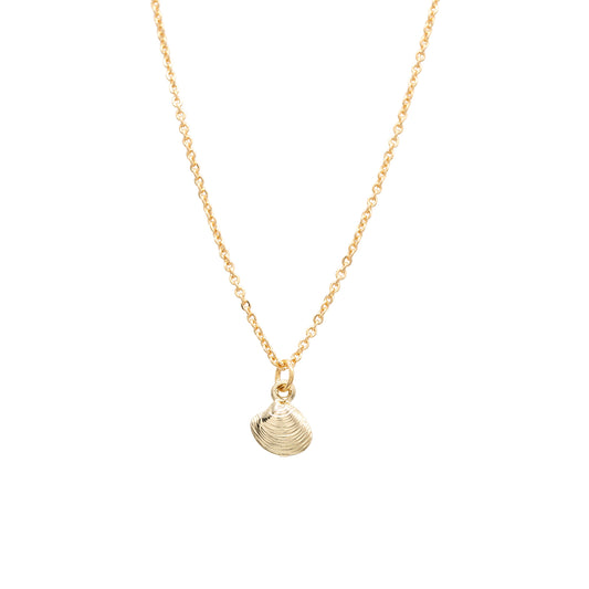 Clam Shell Mini Charm Necklace Beach Ocean Gift Giving