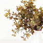 16" Sage & Brown Sweetgum Leaves Bush