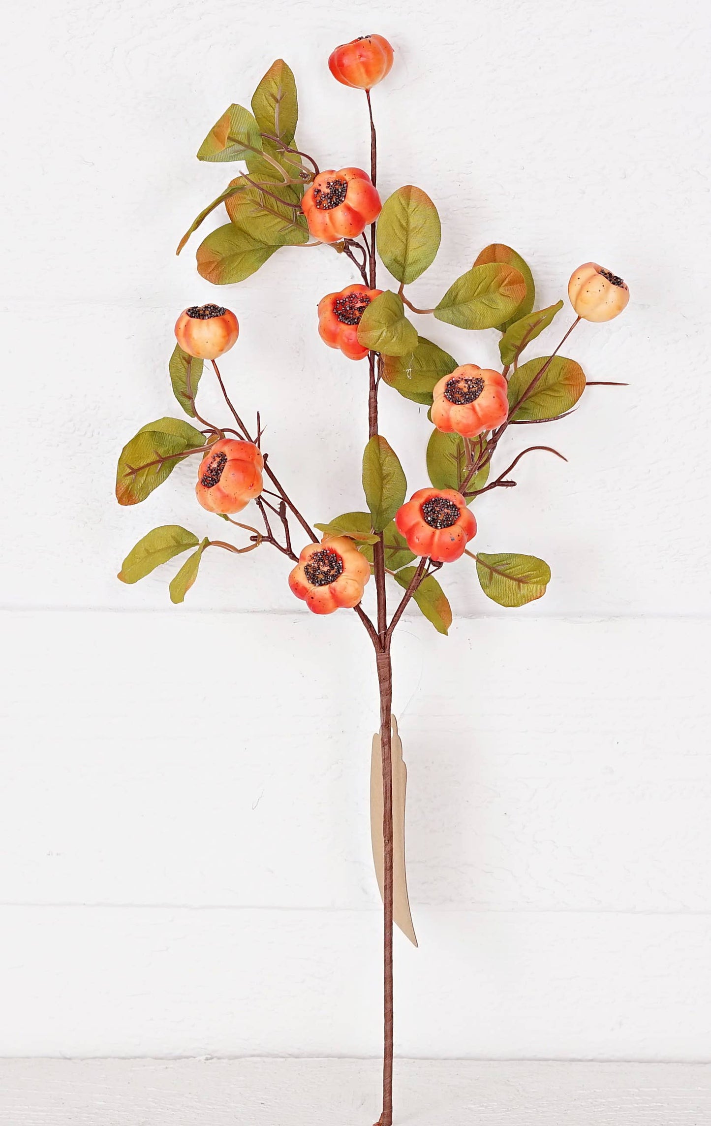 18" Mixed Polka Pods Pick with Leaves