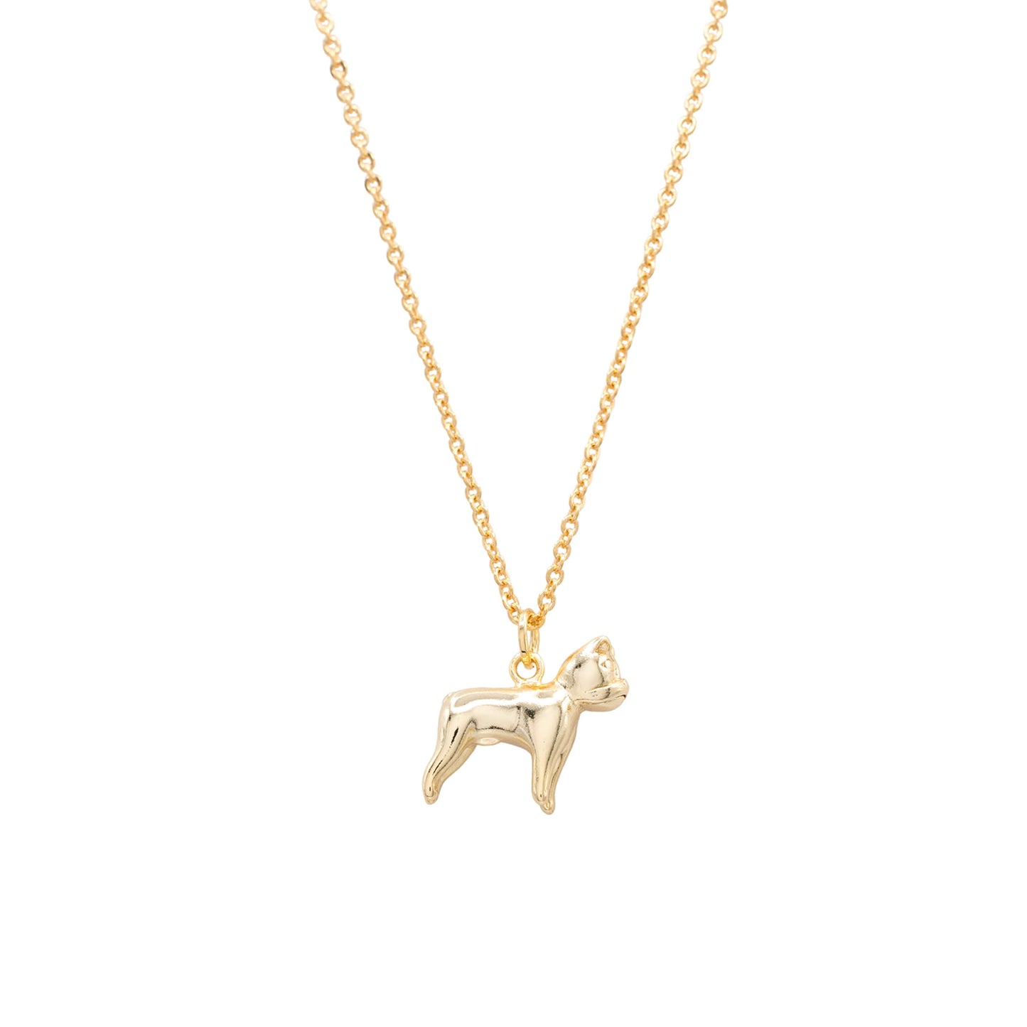 Boston Terrier Dog Charm Necklace Animal Pet Gift Giving