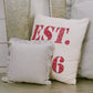 Farmhouse Ticking Stripe Pillow 12x12 – Blue Seersucker