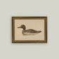 Wooden Duck Decoy Framed Antique Art