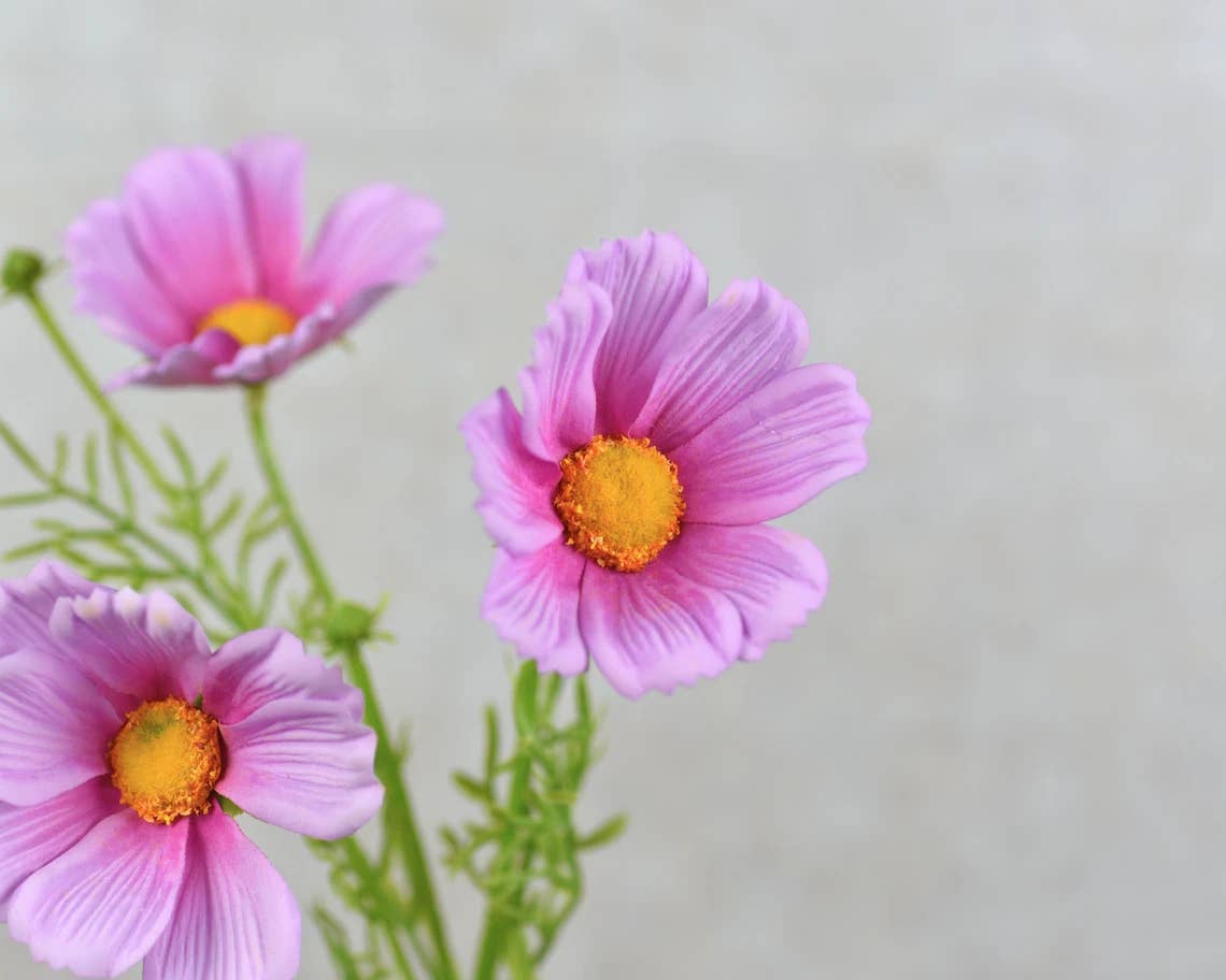 20" Real Touch Cosmos Flowers-vibrant lifelike colors