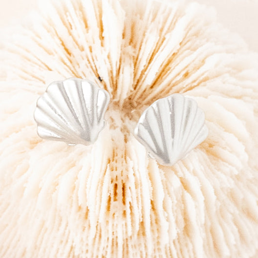 Mini Shell Post Earrings – Sterling Silver or 14K Gold Over Sterling | Delicate Ocean-Inspired Studs